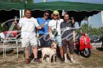 2 Esposizione canina 29.6.2014 Pico - IMG_4184